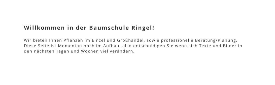 Willkommen in der Baumschule Ringel!   Wir bieten Ihnen Pflanzen im Einzel und Großhandel, sowie professionelle Beratung/Planung.  Diese Seite ist Momentan noch im Aufbau, also entschuldigen Sie wenn sich Texte und Bilder in den nächsten Tagen und Wochen viel verändern.