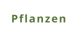 Pflanzen