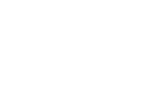 KONTAKT  Baumschule Hansjochen Ringel Steenwischtwiete 7 25488 Holm