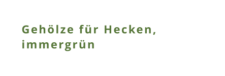 Gehölze für Hecken, immergrün