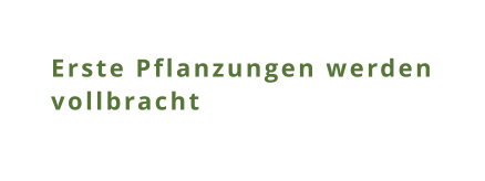 Erste Pflanzungen werden vollbracht